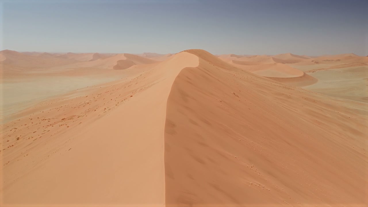Wind Swept Desert Sand Dunes