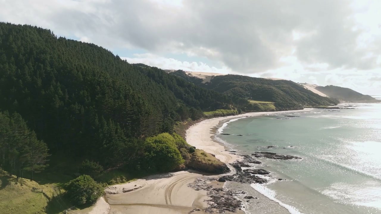Aerial View of New Zealand Coastline