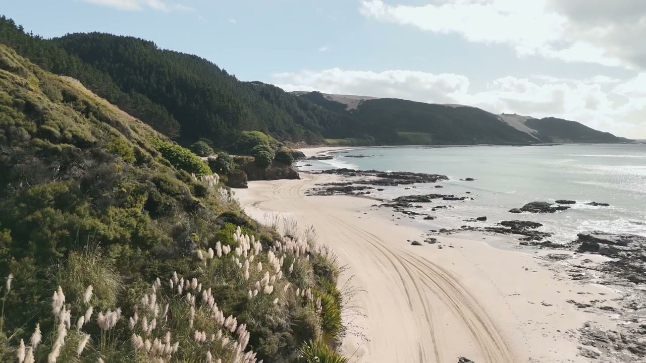 New Zealand Coastal Landscape and Sandy Beach
