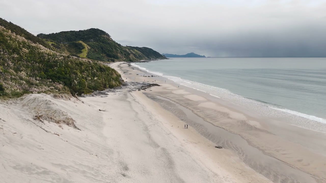 New Zealand Coastal Beach Walk