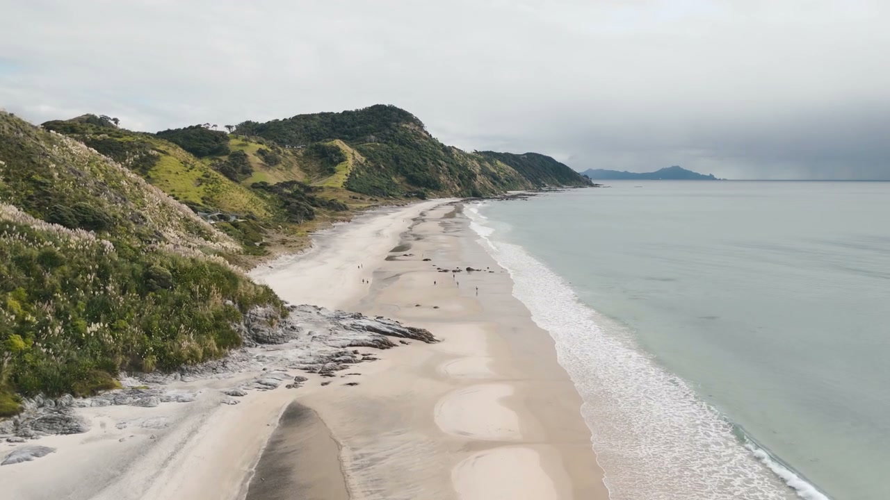 New Zealand Coastal Landscape Beach View