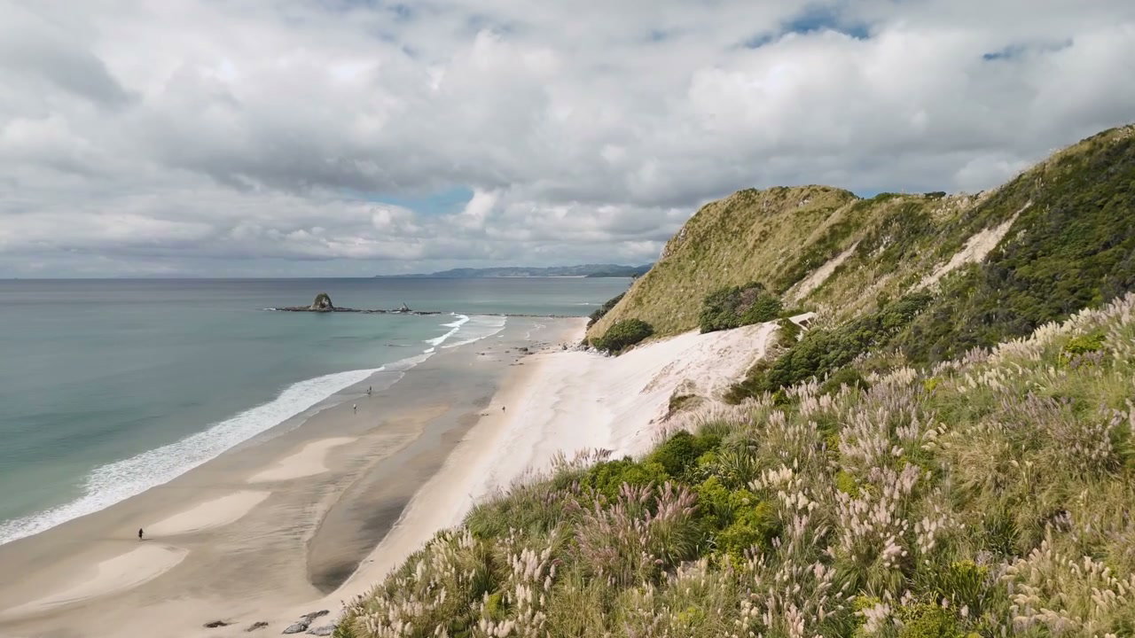 New Zealand Coastal Landscape with Sandy Beach
