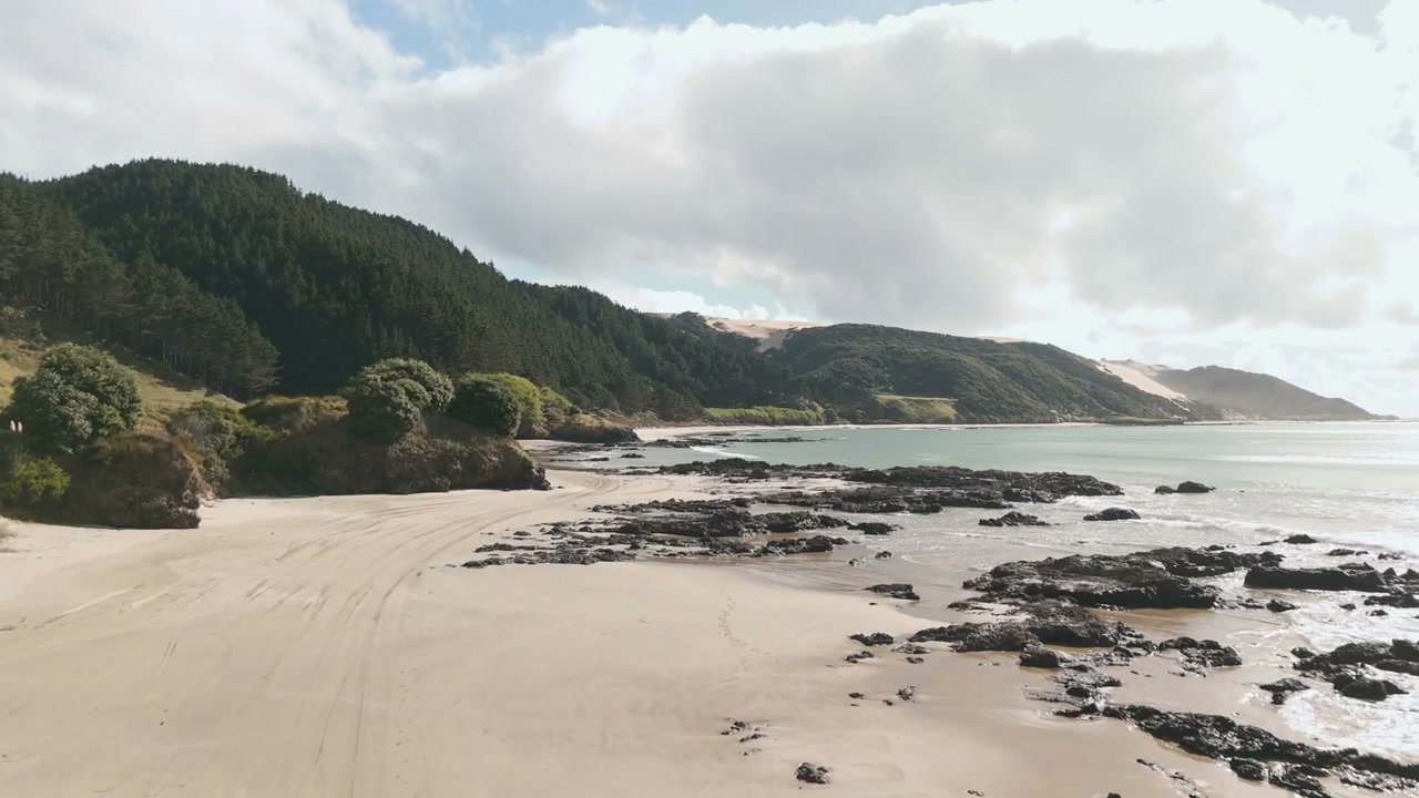 New Zealand Coastal Beach and Forest