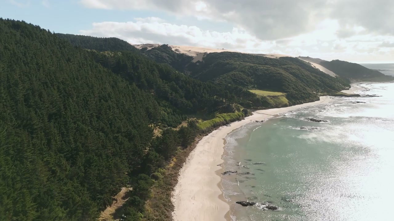 New Zealand Coastline with Forest and Beach