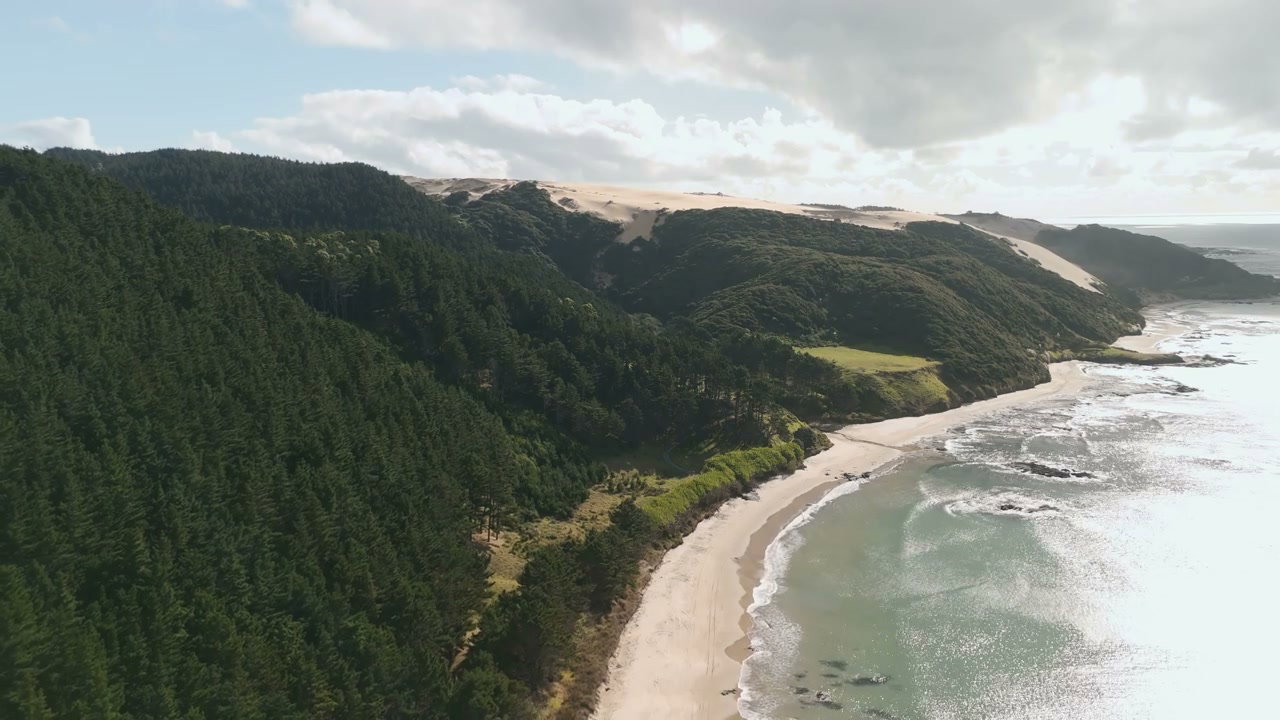 New Zealand Coastline Sand Dunes and Forest