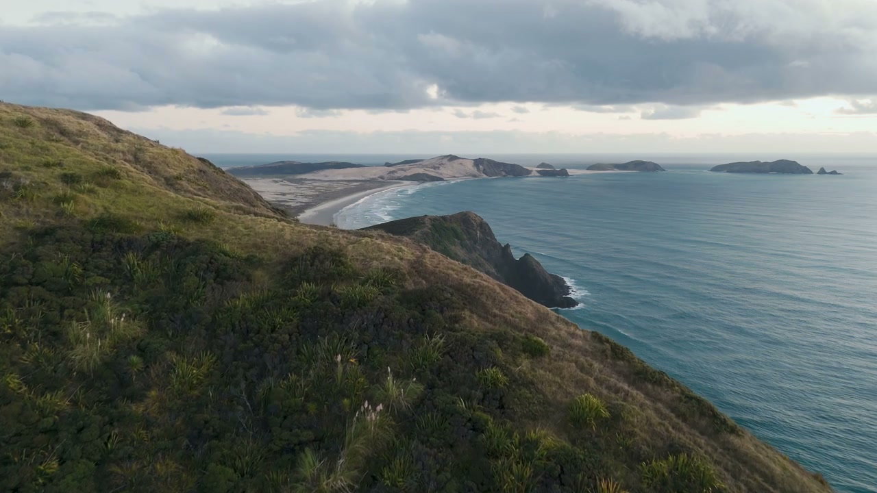 New Zealand Coastline with Ocean and Hills