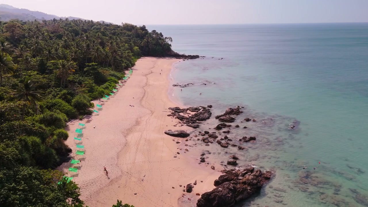 Tropical Beach with Clear Ocean and Palm Trees