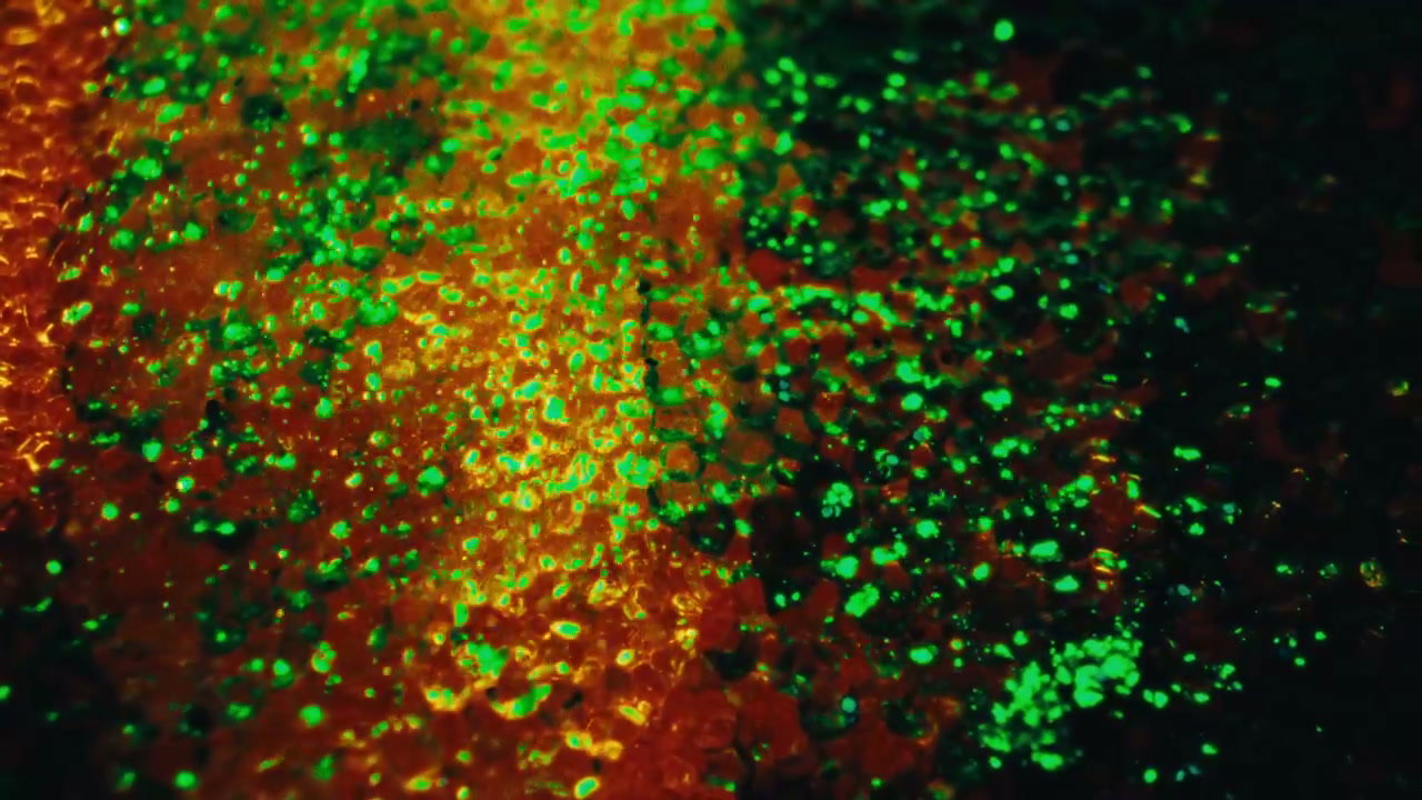Green Glowing Particles on Textured Surface