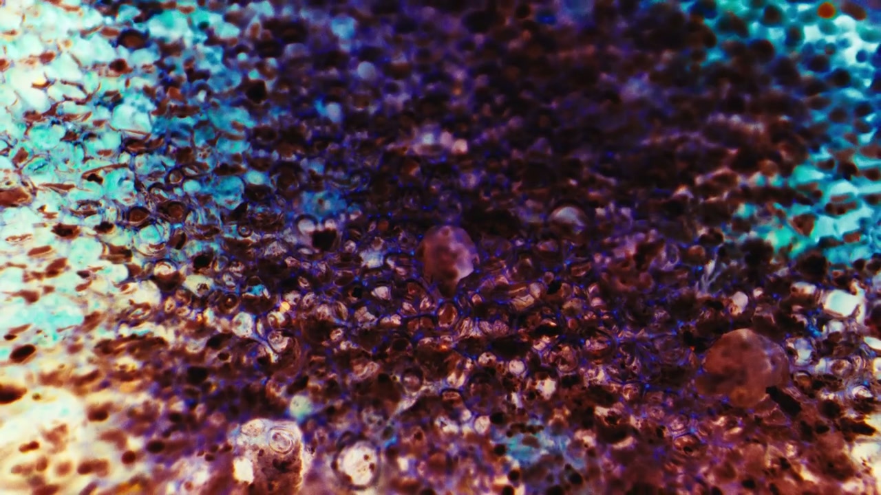 Vibrant Organic Cell Pattern
