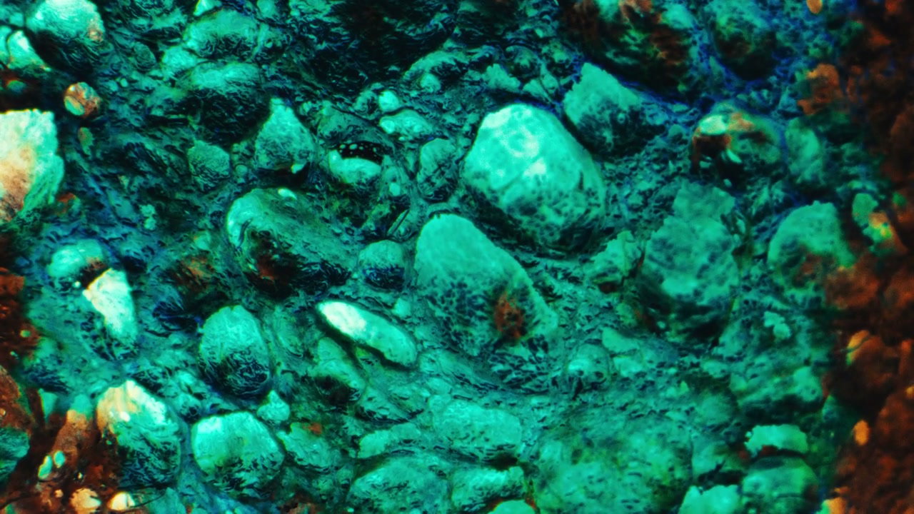 Abstract Toxic Mass Surface