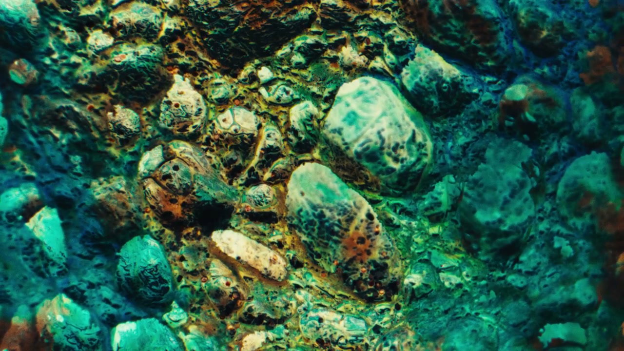Shifting Vibrant Abstract Texture