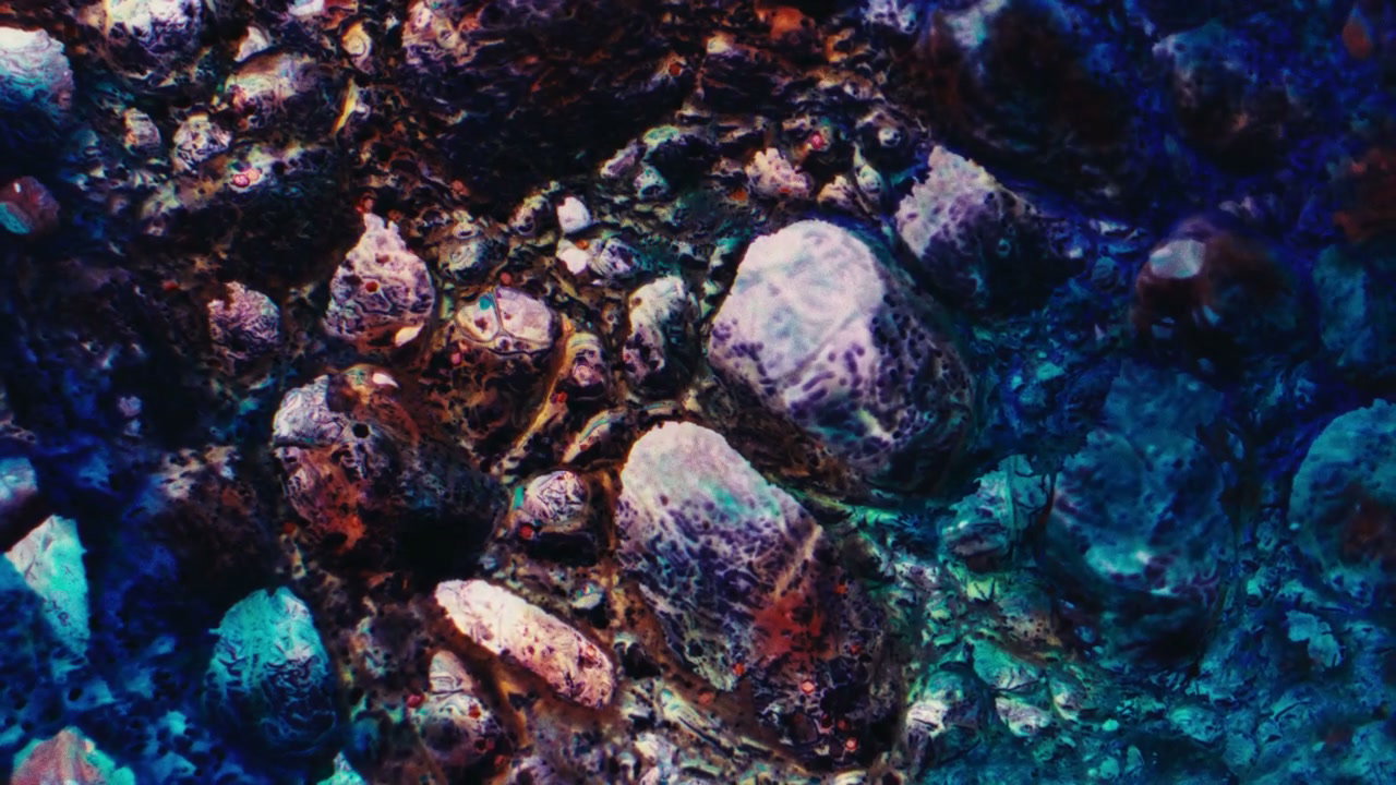 Abstract Organic Textured Surface