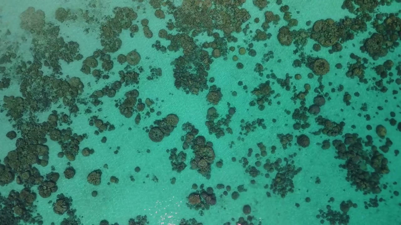 Aerial View Coral Reef Thailand