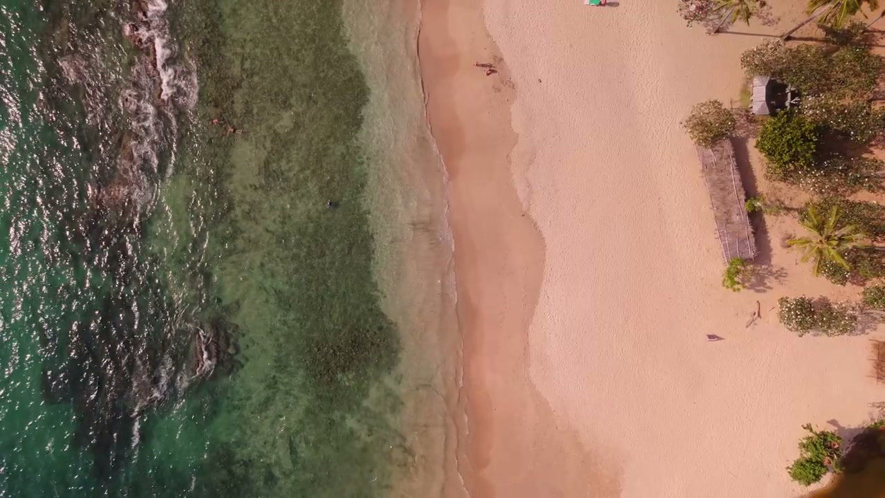 Tropical Beach Aerial View