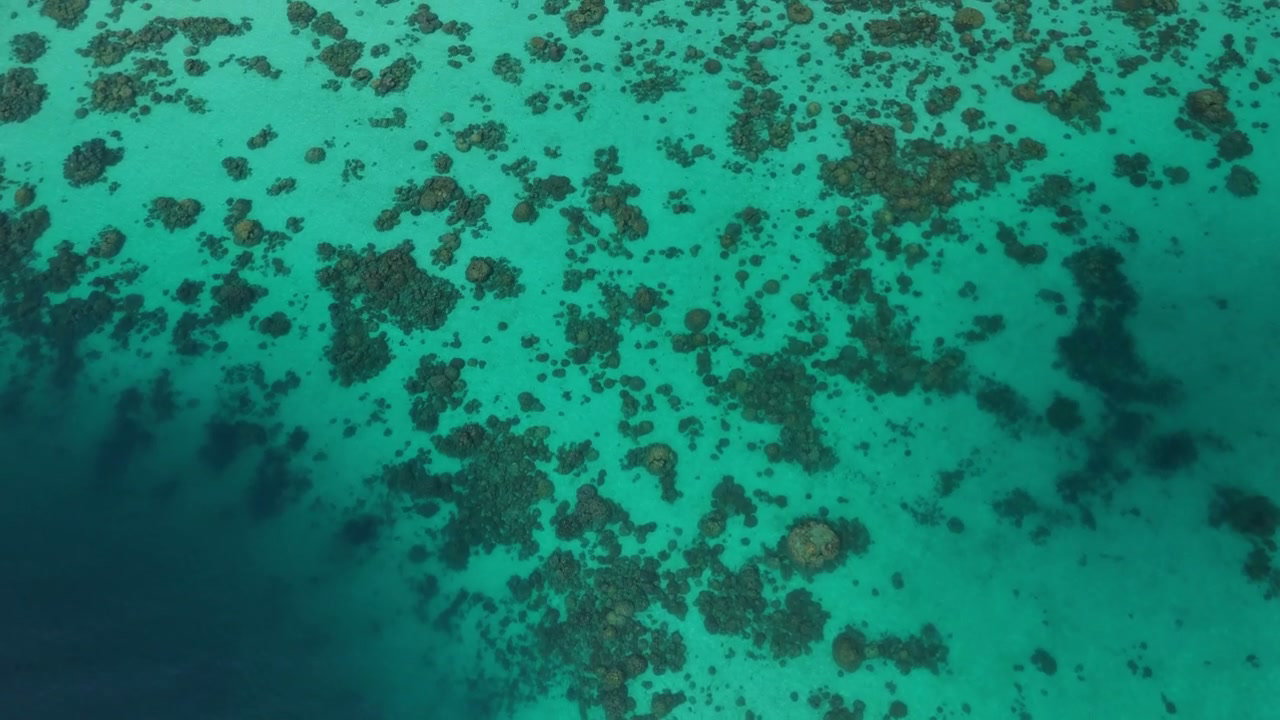 Aerial View of Tropical Coral Reef in Thailand