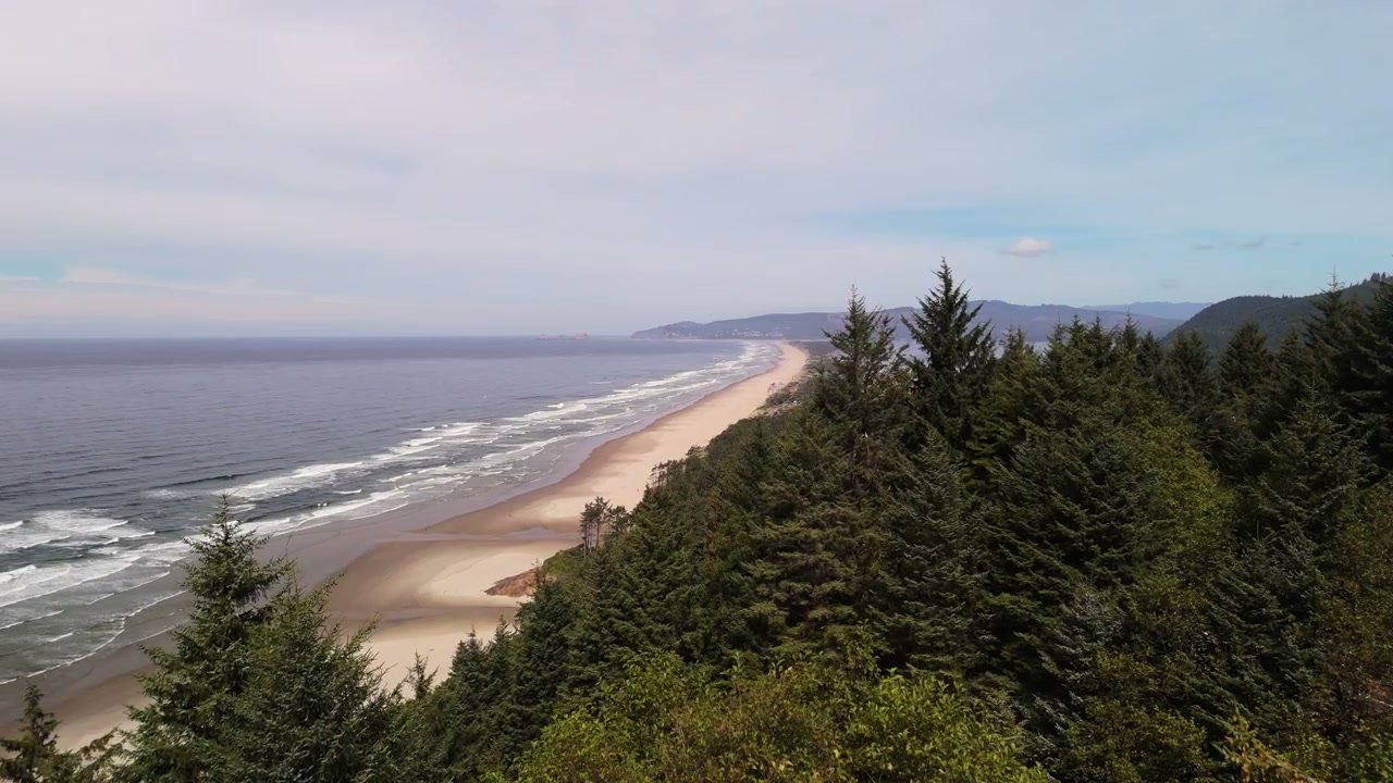 Aerial View of Pacific Coast Beach and Forest