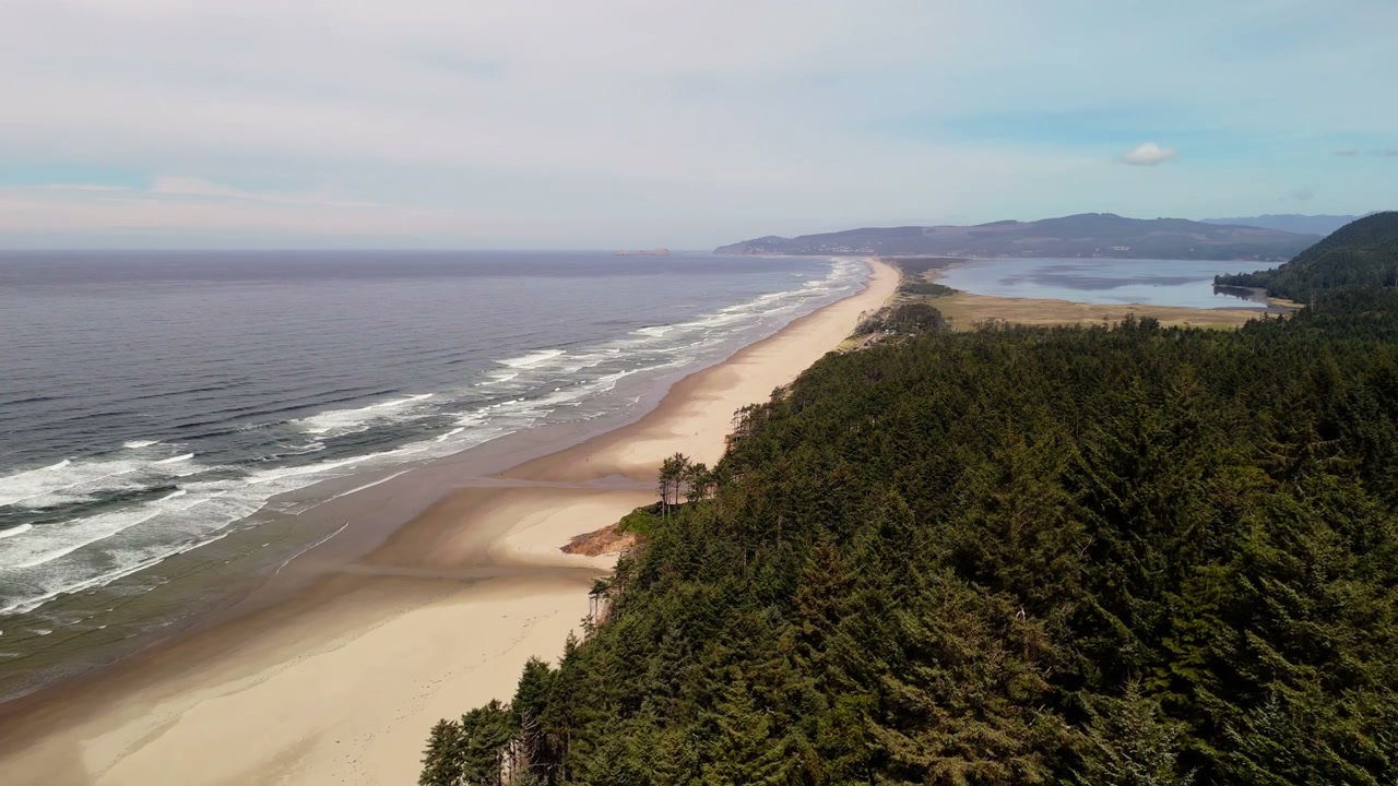 Aerial View of Pacific Coast Beach and Forest