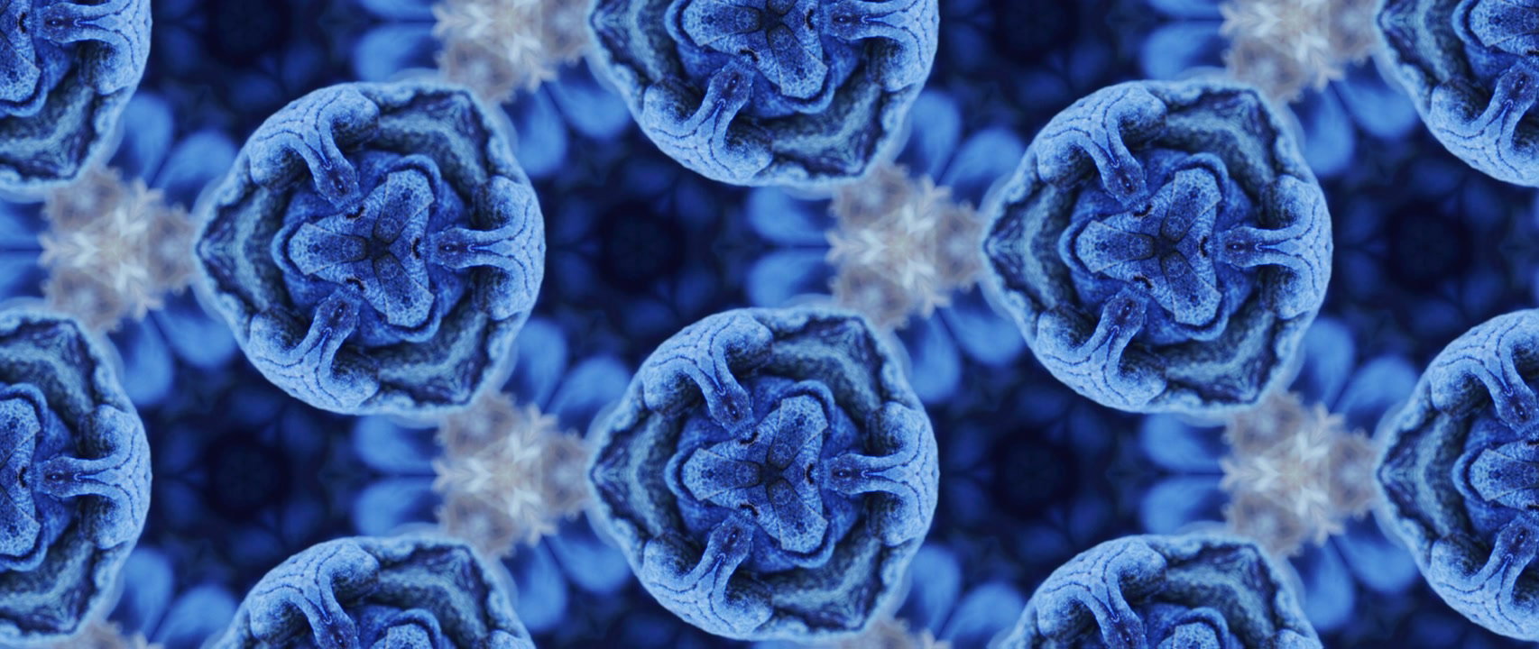 Organic Blue Abstract Kaleidoscope