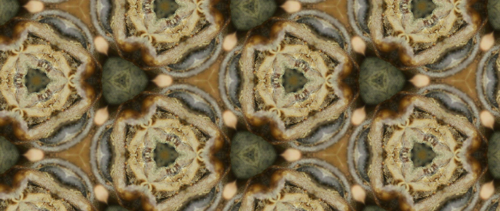 Organic Kaleidoscope Pattern Loop