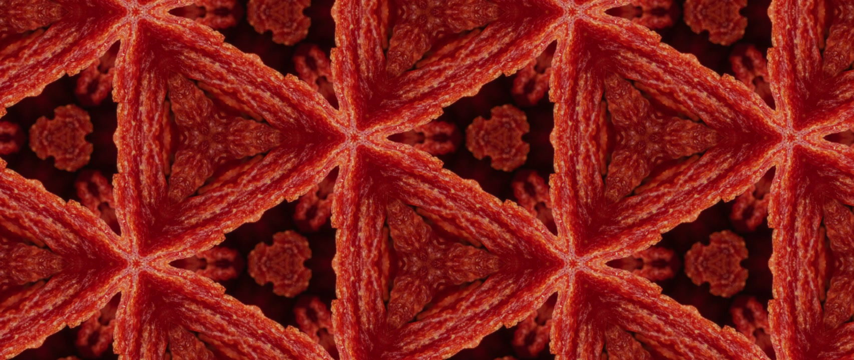 Abstract Organic Kaleidoscope Pattern