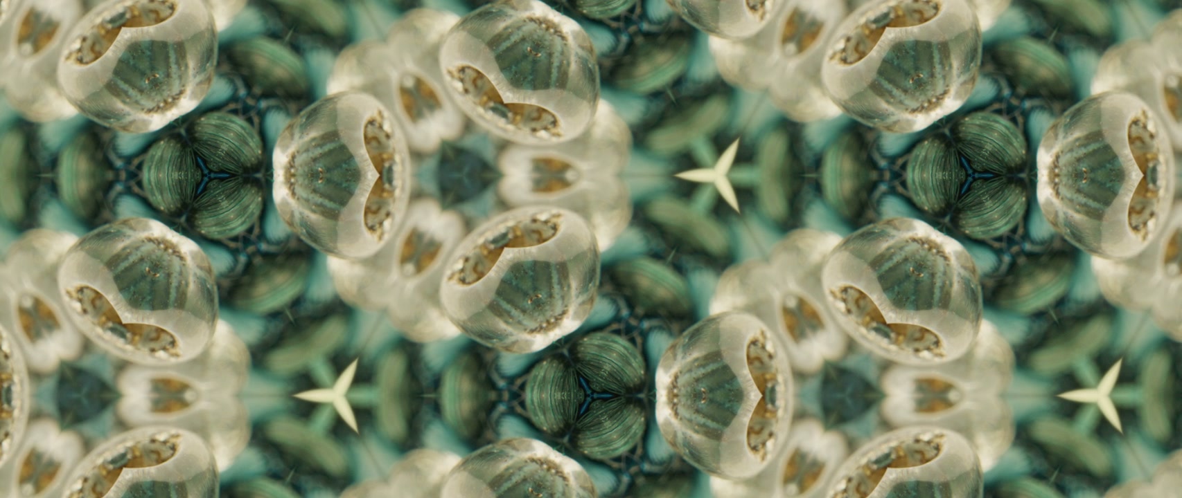 Organic Kaleidoscope Abstract Pattern