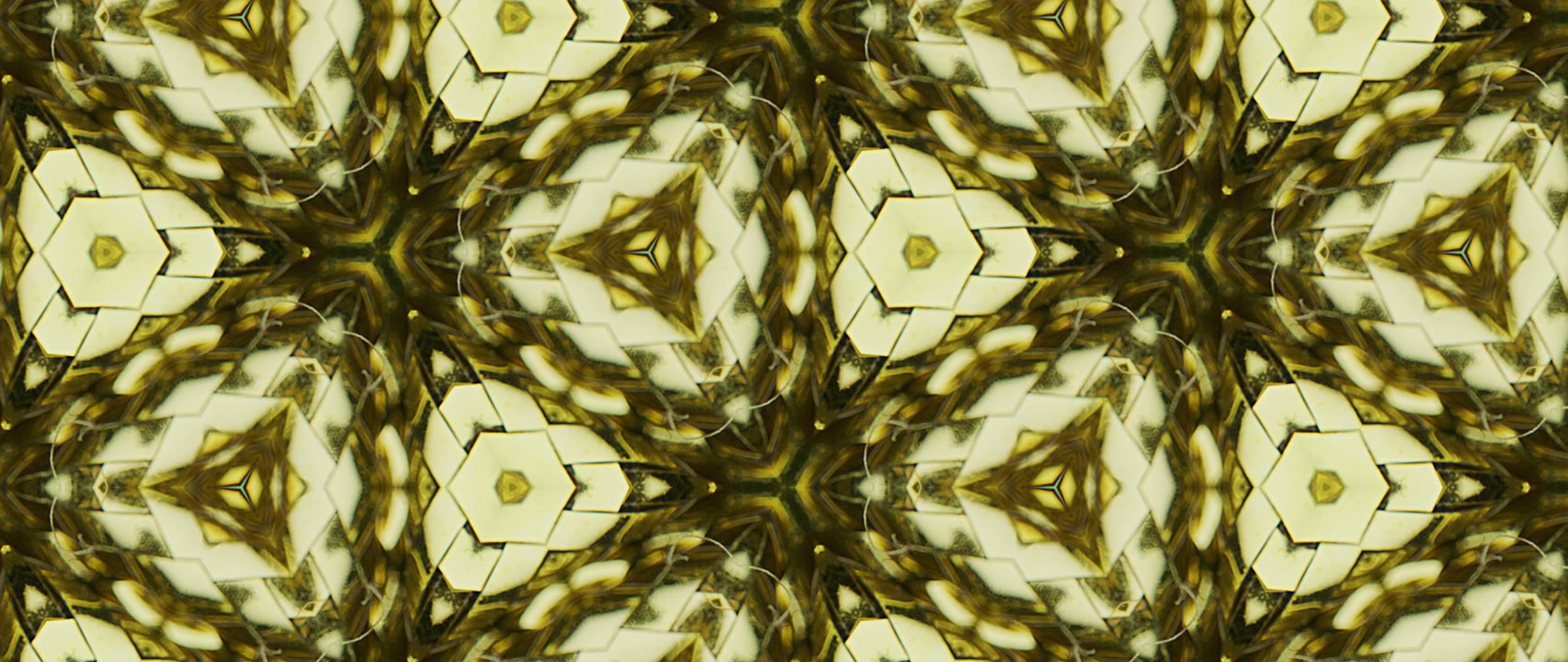 Golden Organic Kaleidoscope Pattern