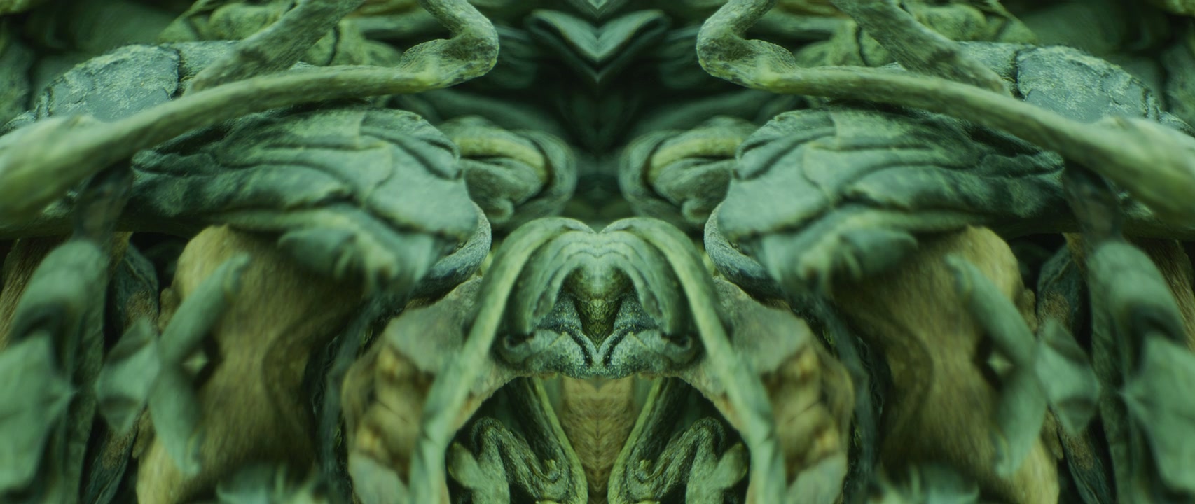 Green Organic Abstract Symmetry