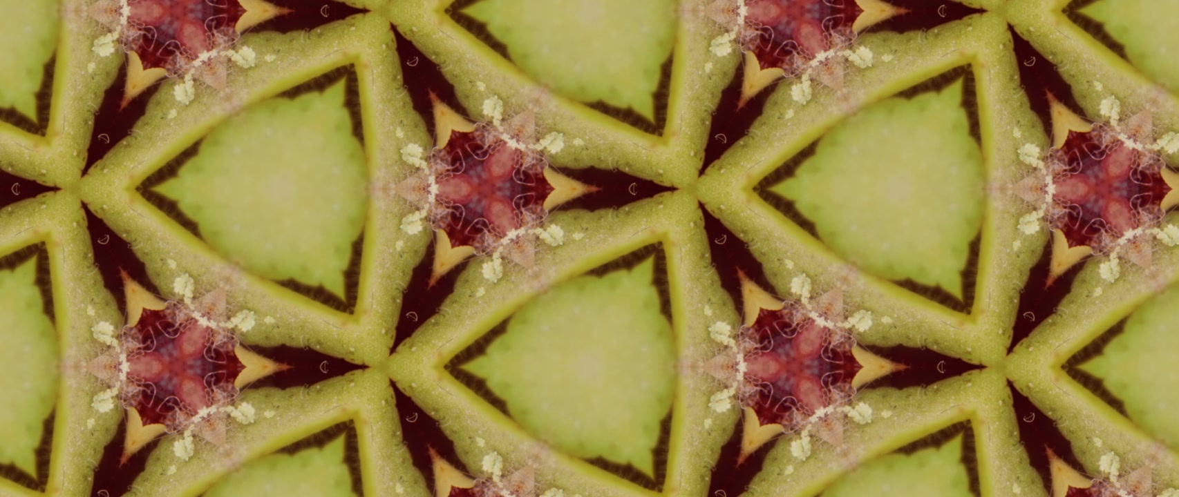 Pulsating Organic Kaleidoscope Pattern