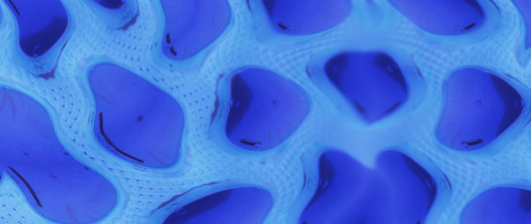 Dynamic Blue Organic Mesh