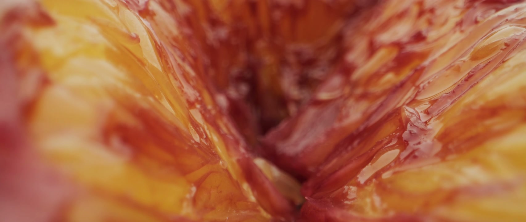 Vibrant Blood Orange Pulp Macro