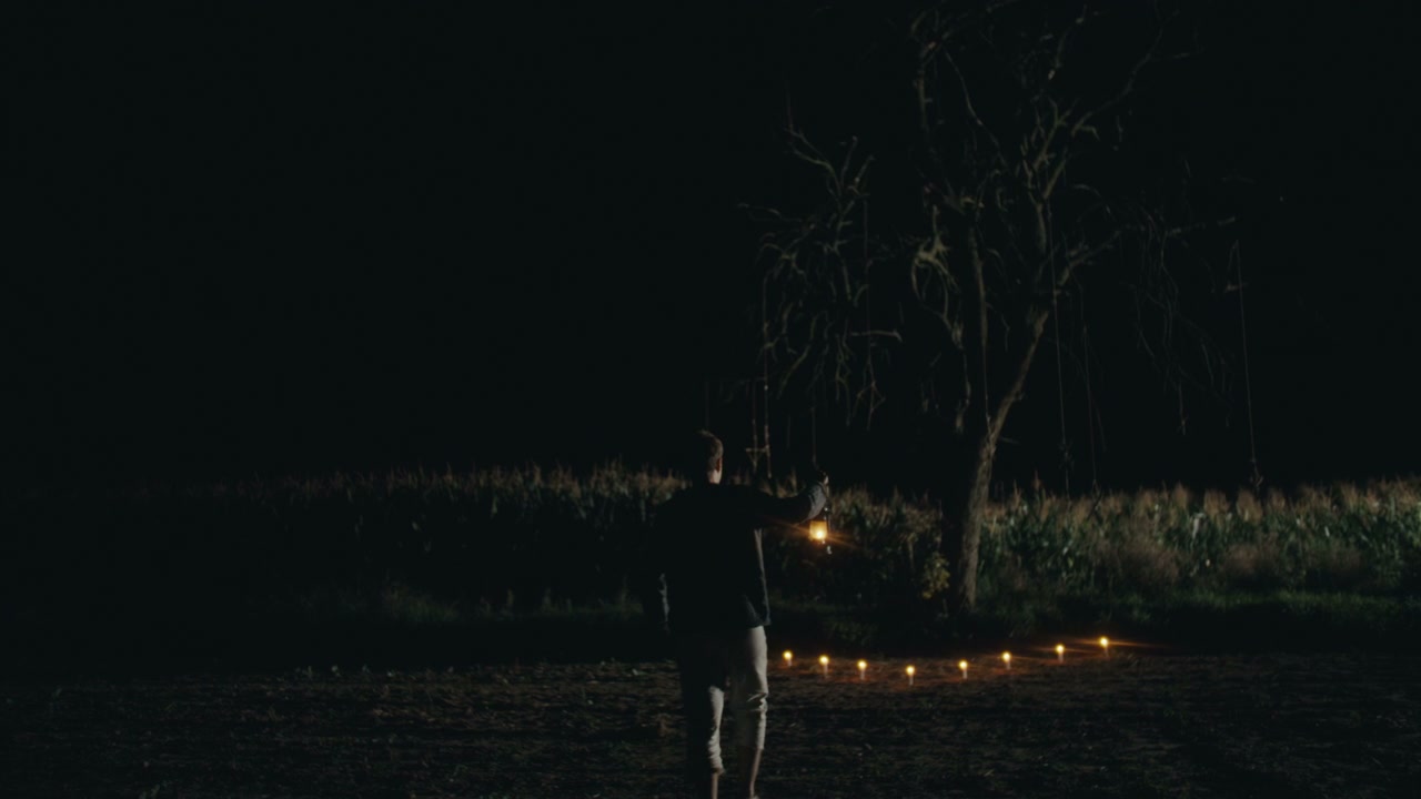 Person With Lantern at Mysterious Tree