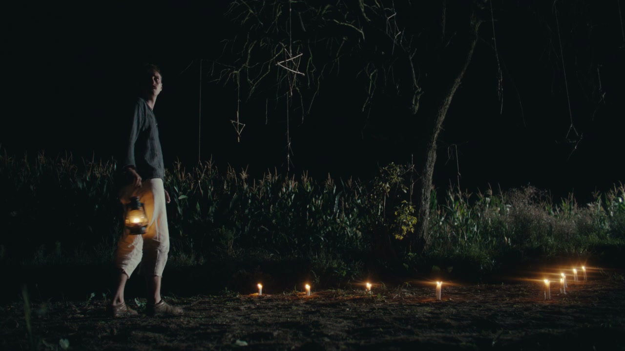 Man Hanging Lantern Under Mysterious Tree at Night