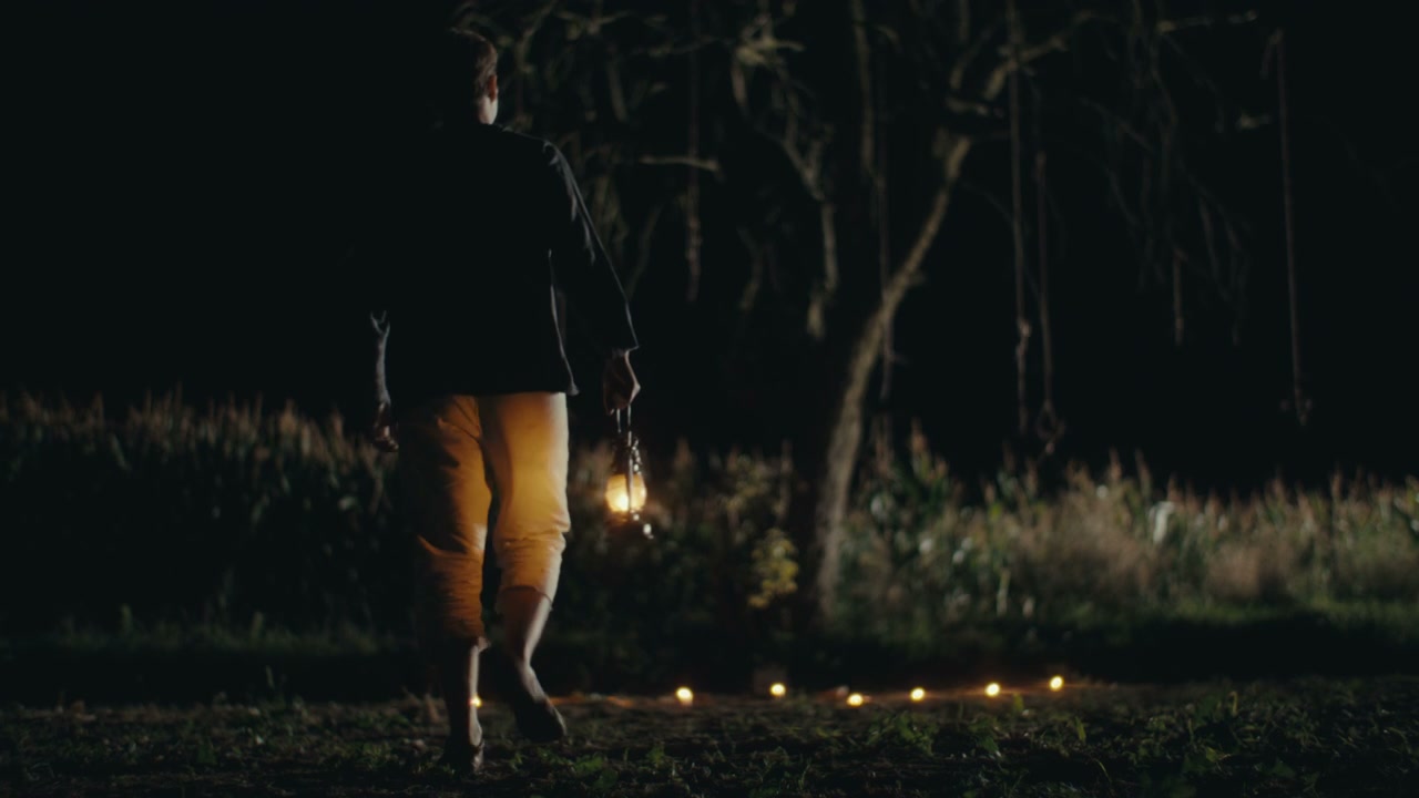 Person with Lantern Approaches Ritual Tree at Night