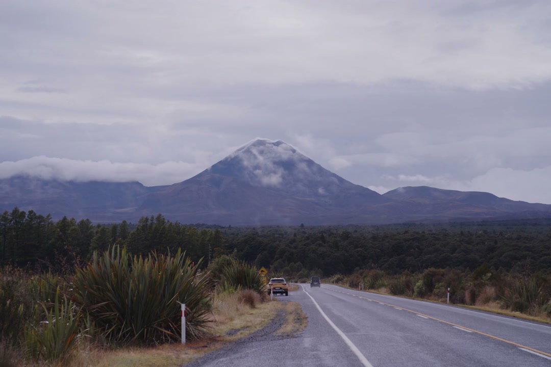 New Zealand Mountain Road with Passing Vehicles
