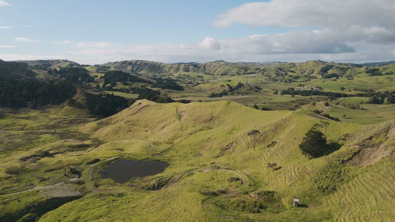 Rolling Green Hills Landscape