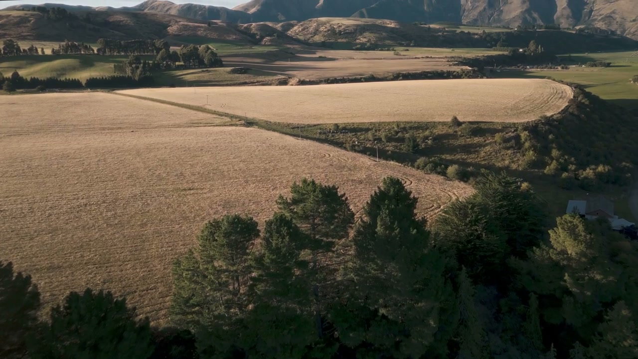 Golden Fields and Distant Mountains