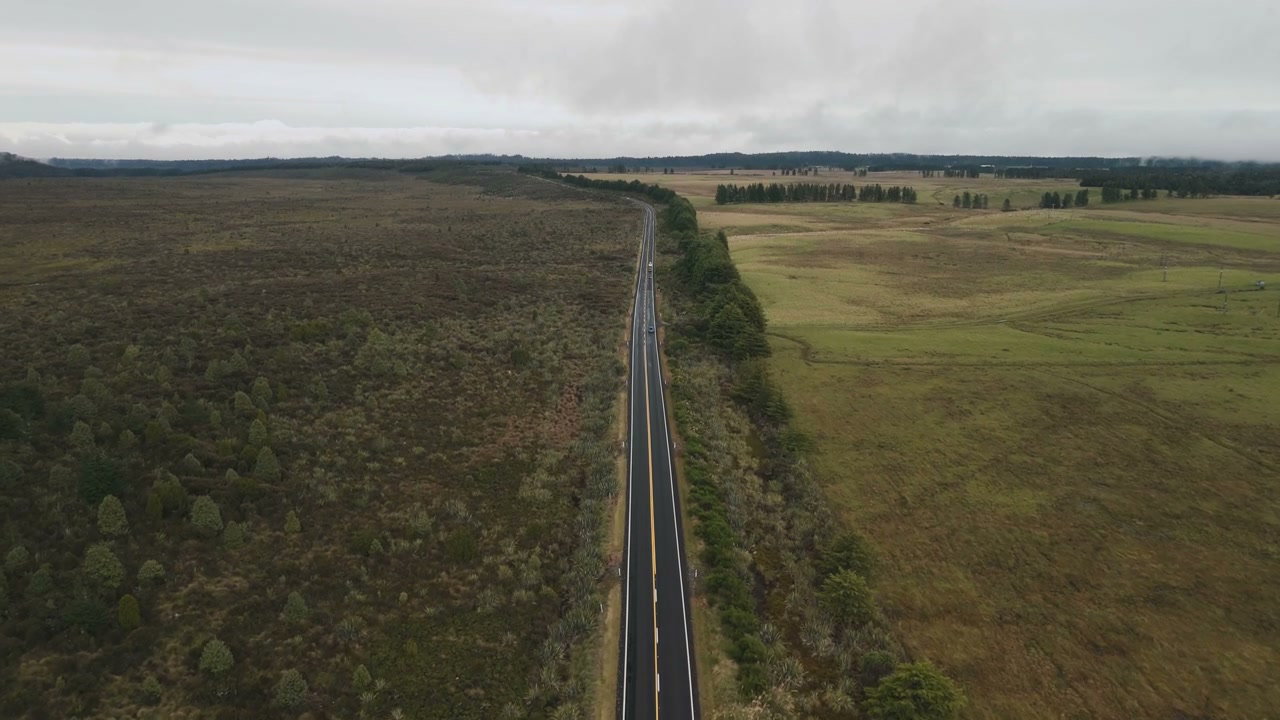 Car Driving on Straight Road Through Green Fields
