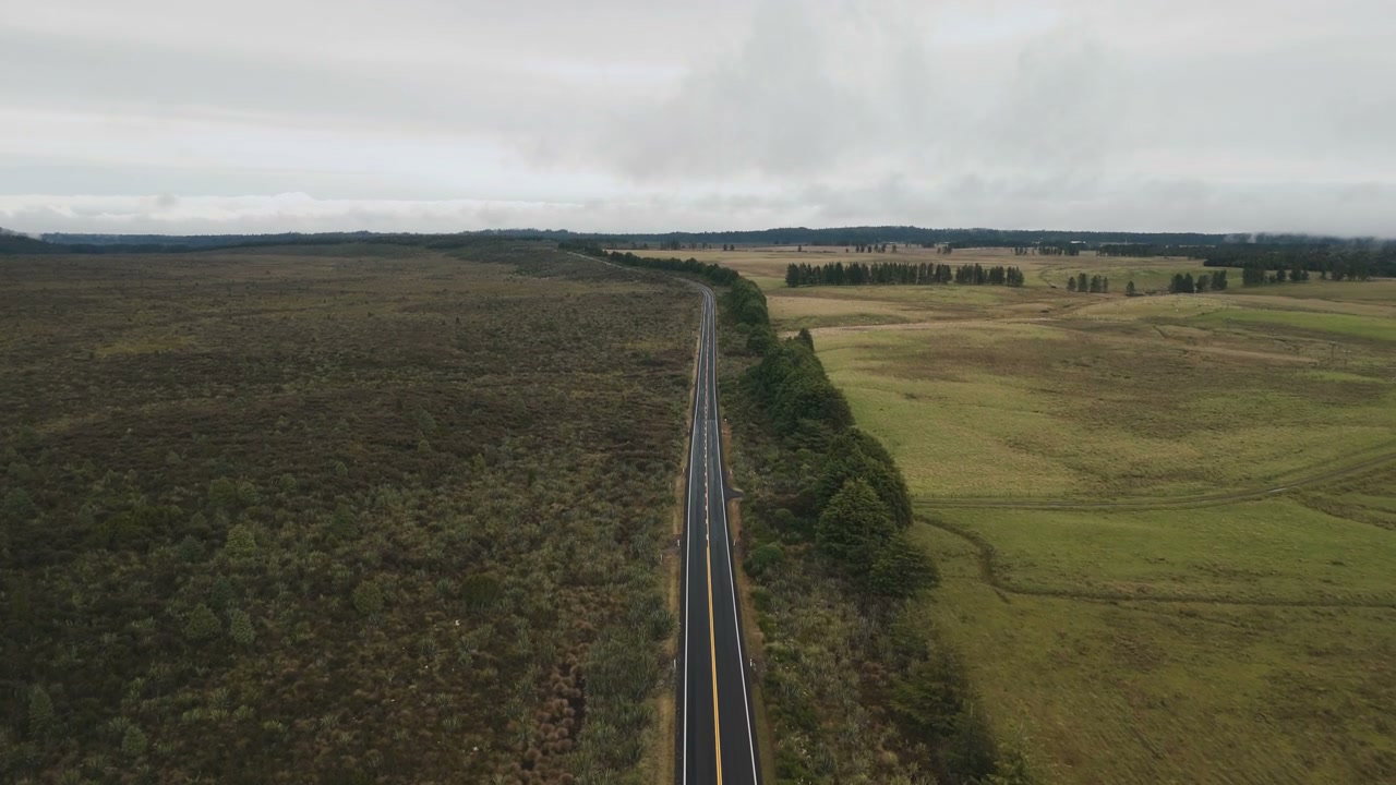 Aerial View of Road Dividing Green Fields
