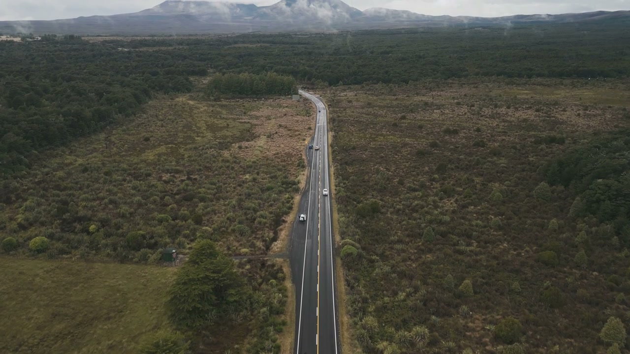 Cars Driving on Highway Through Green Landscape