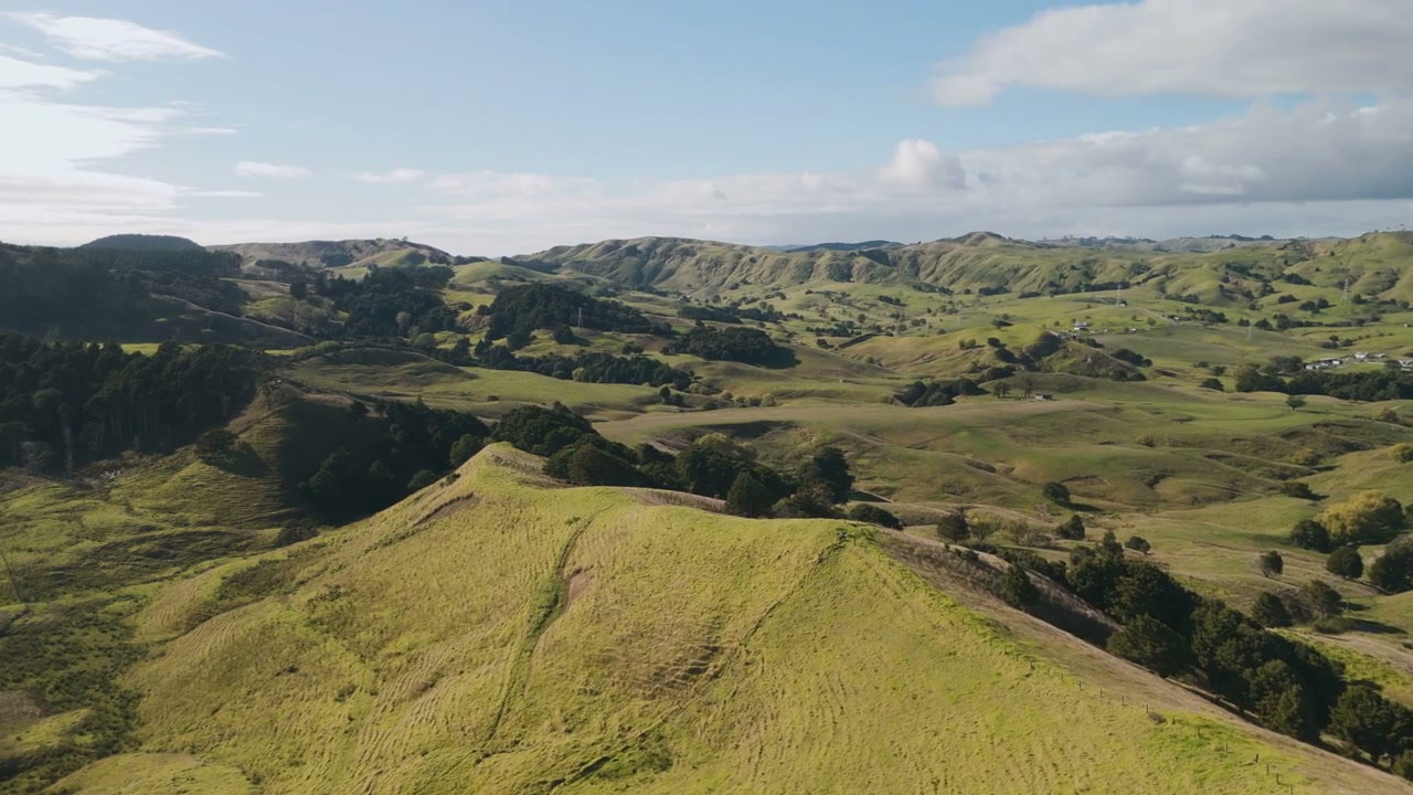 Rolling Green Hills Landscape