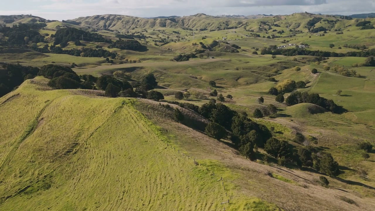 Rolling Green Hills Landscape