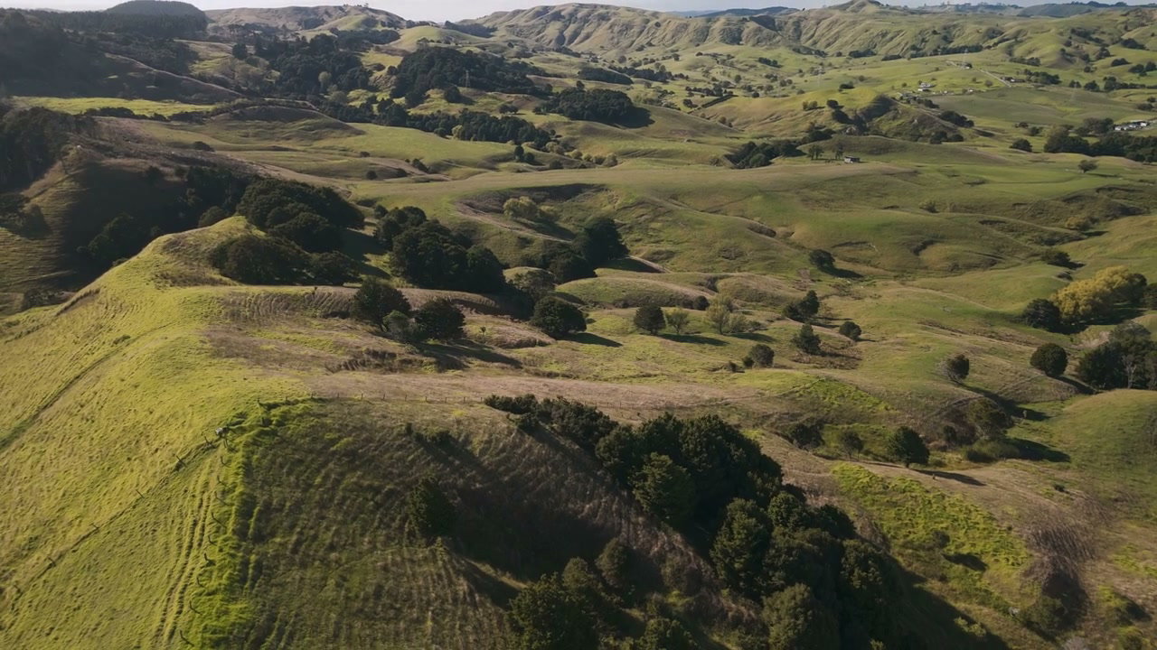 Rolling Green Hills Landscape