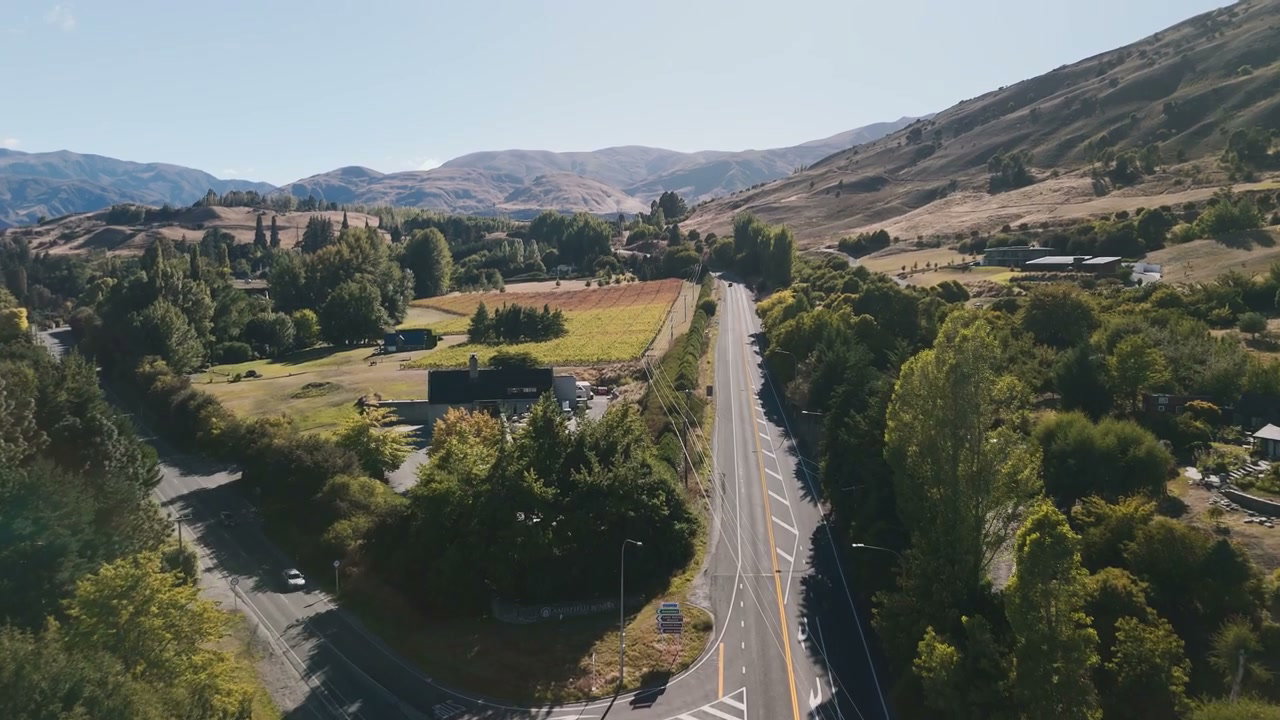 Rural Road Intersection with Vineyard