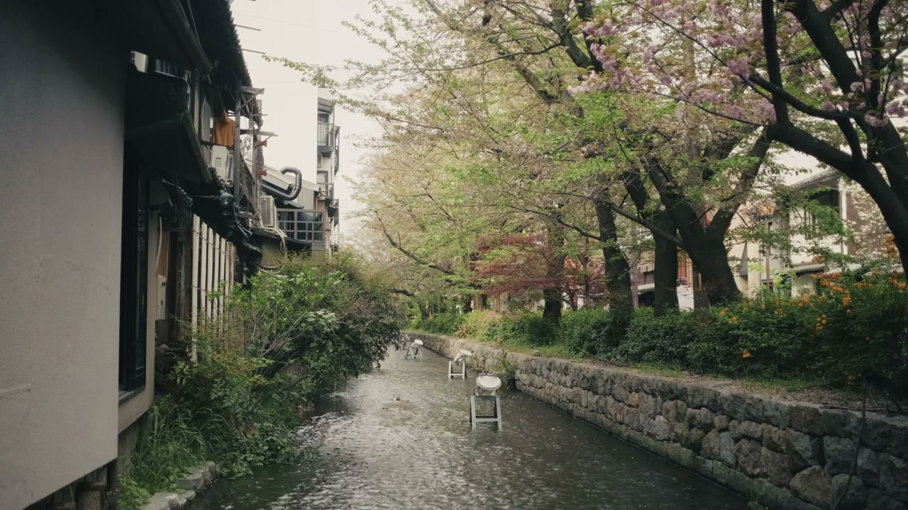 Traditional Japanese Canal with Sakura