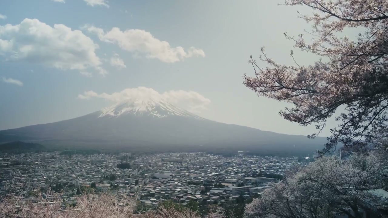 Mount Fuji and Cherry Blossoms Over City