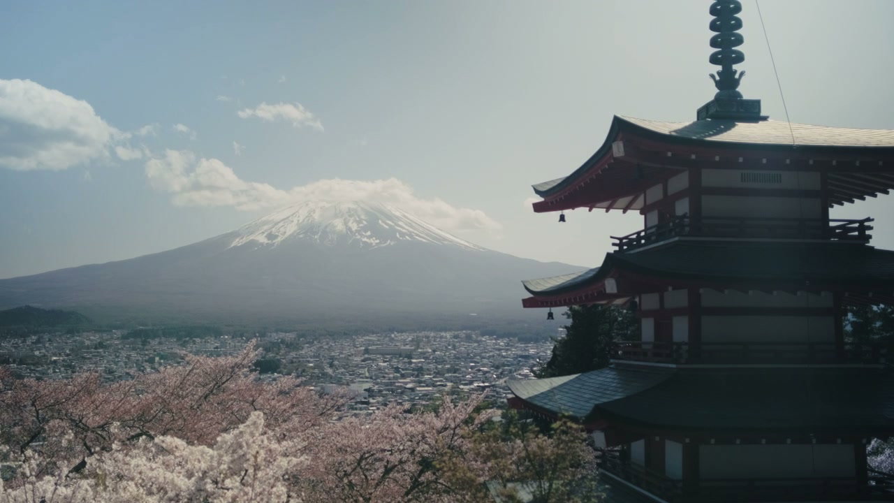 Chureito Pagoda, Mount Fuji, Cherry Blossoms
