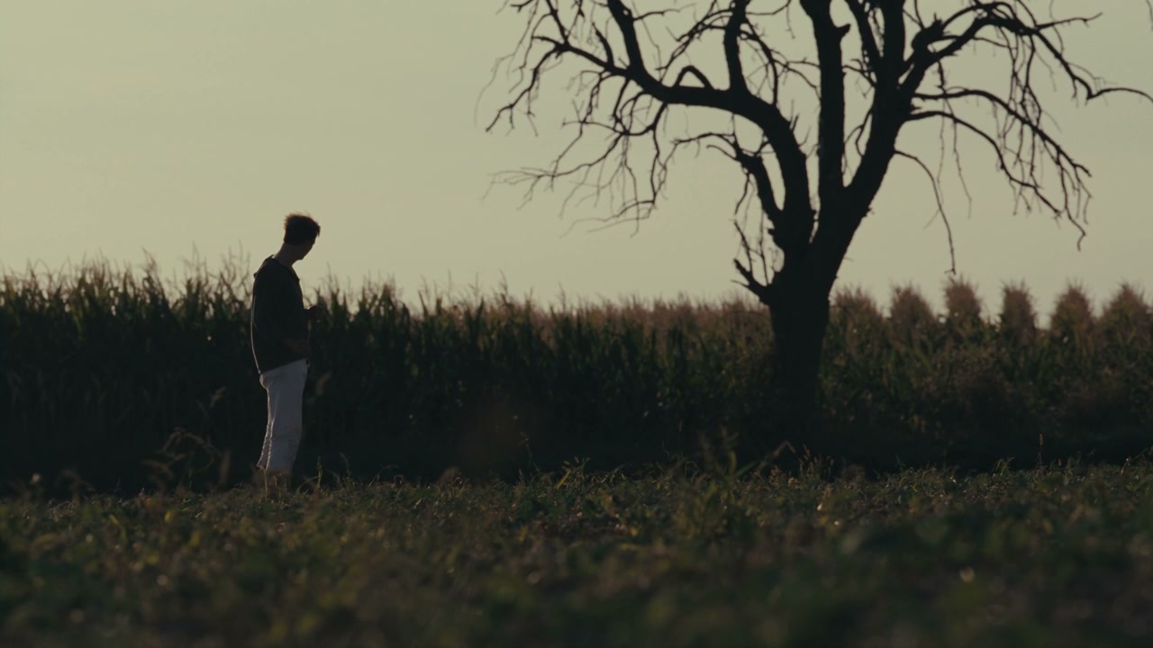 Solitary Person Standing in Rural Field