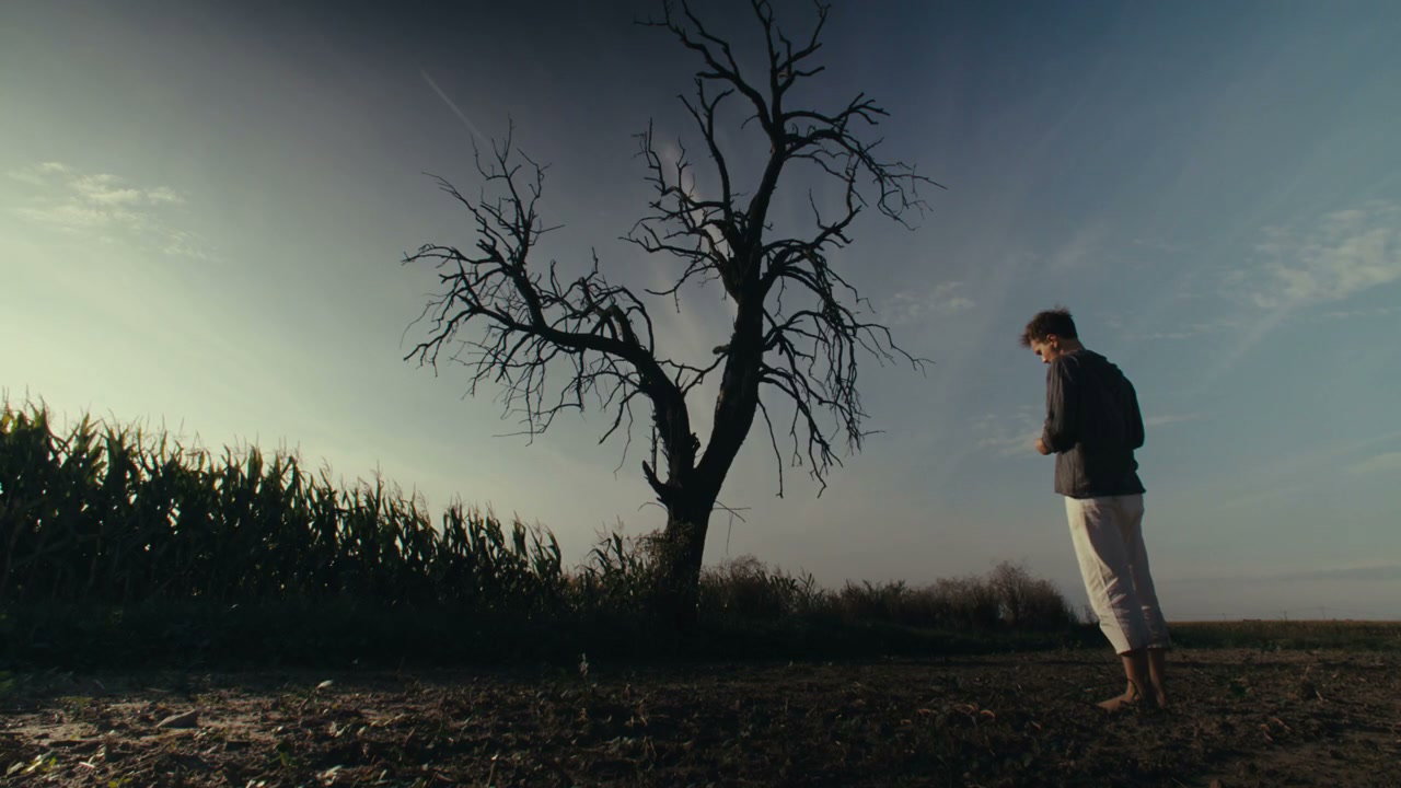 Person Standing by a Dead Tree in a Field