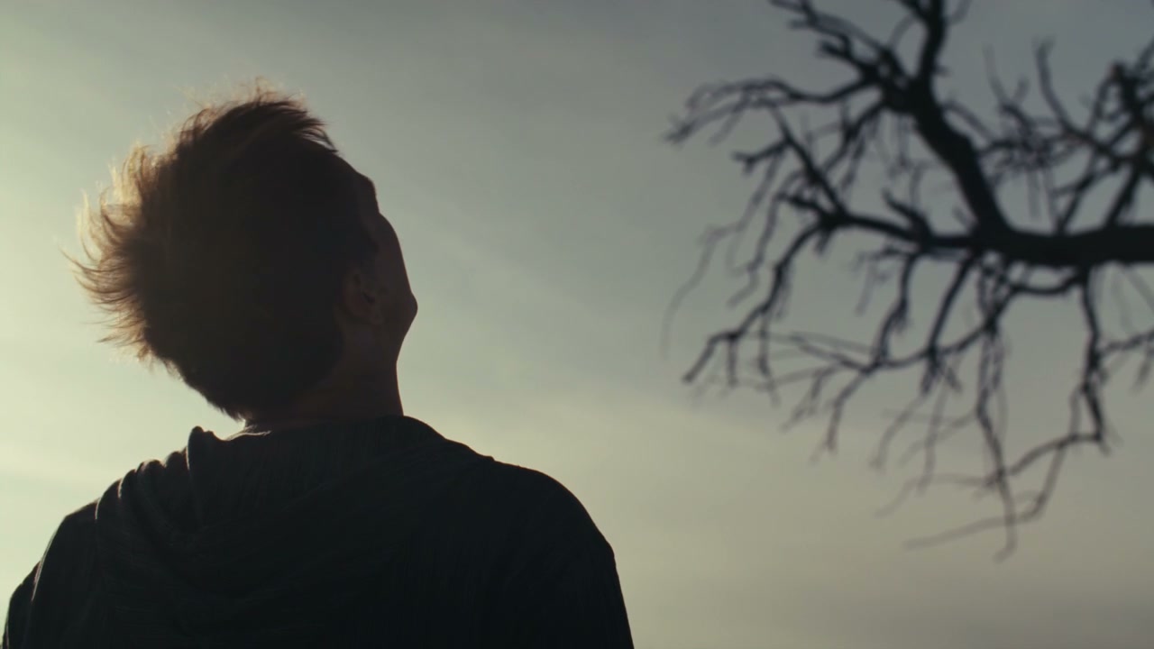 Pensive Person Looking Up at Bare Tree