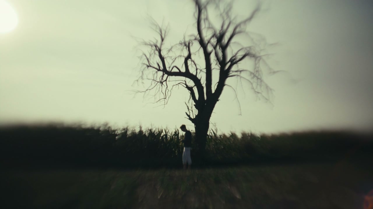 Lonely Person by Barren Tree